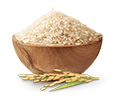 Vše o rýži